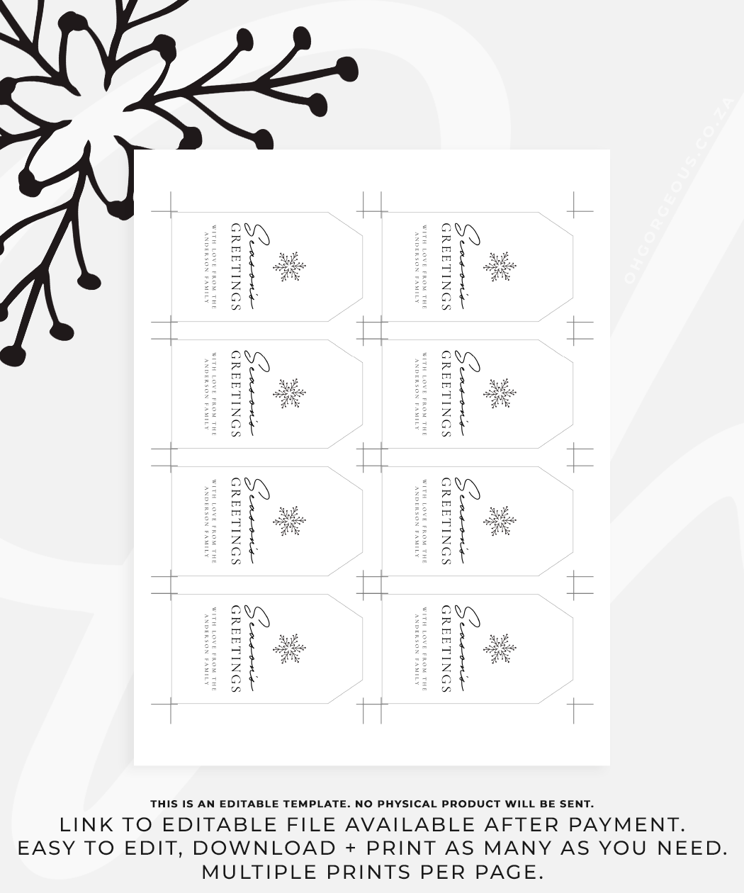 Modern Season's Greetings Gift Tag